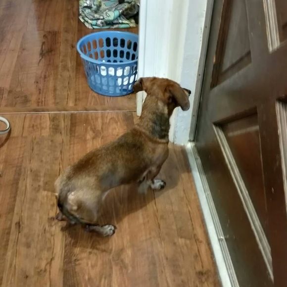 Meet your Posher, Mrs - Picture 1 of 1